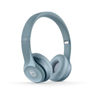 Duis pulvinar obortis eleifend elementum